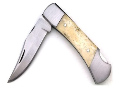 9" SilverSpine Folding Knife – Bone Handle
